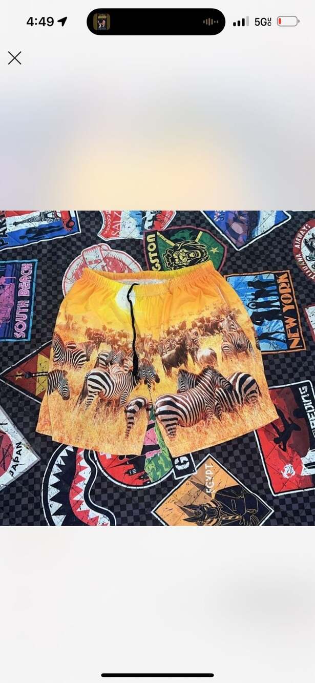 Vintage Zebra Print Safari Graphic Swim Trunks